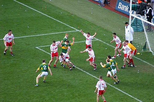 img2.jpg